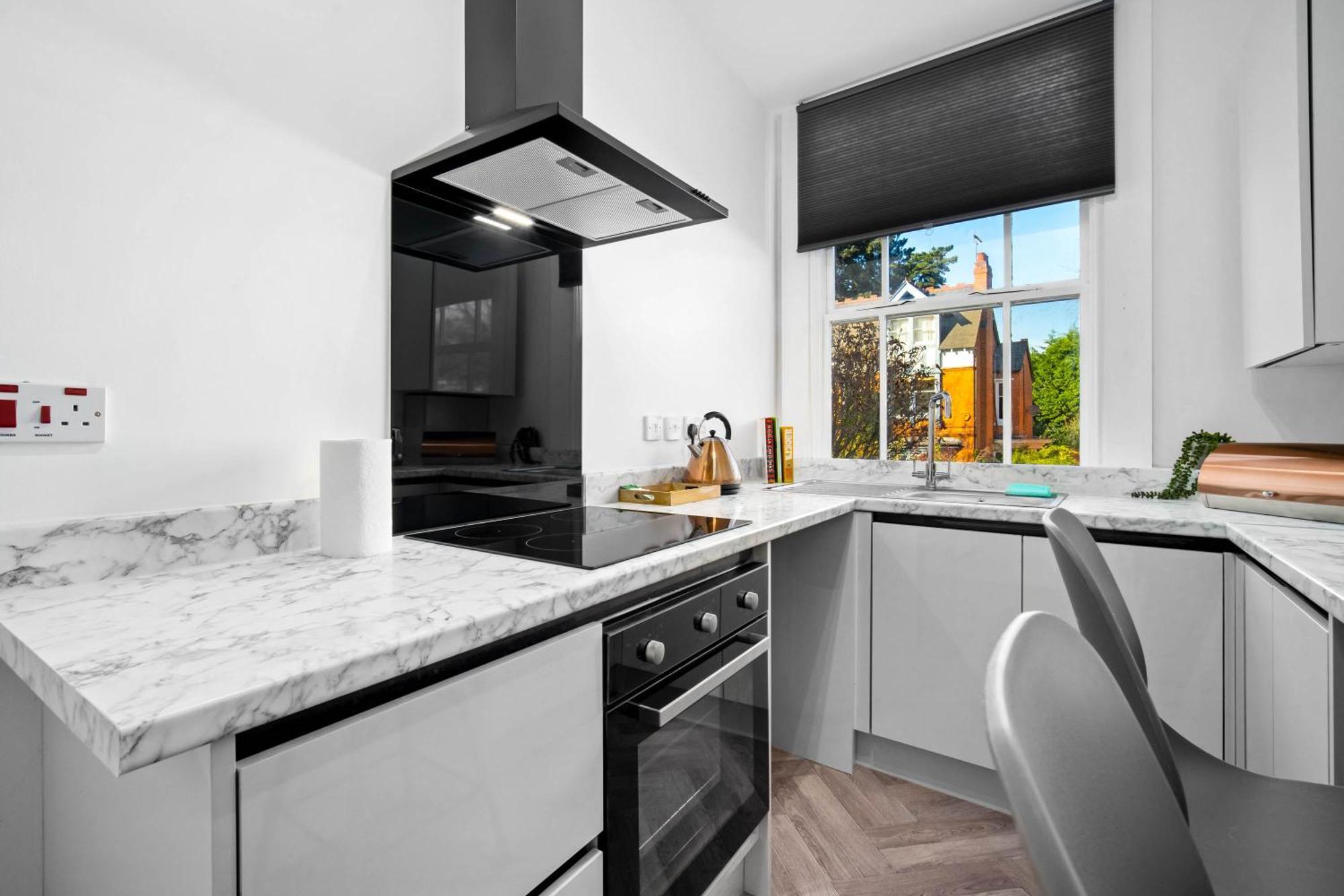 Large Modern Apartment - High-Speed Wifi - Netflix - Street Parking 3Br Birmingham Exterior foto